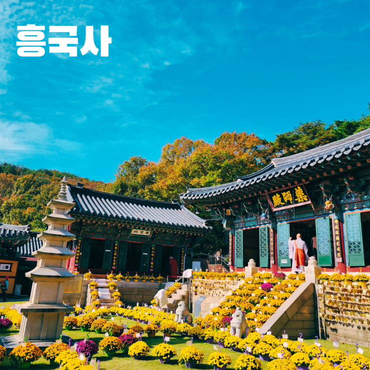  고양 흥국사 통일신라 천년고찰 서울 근교 여행 가볼만한 곳