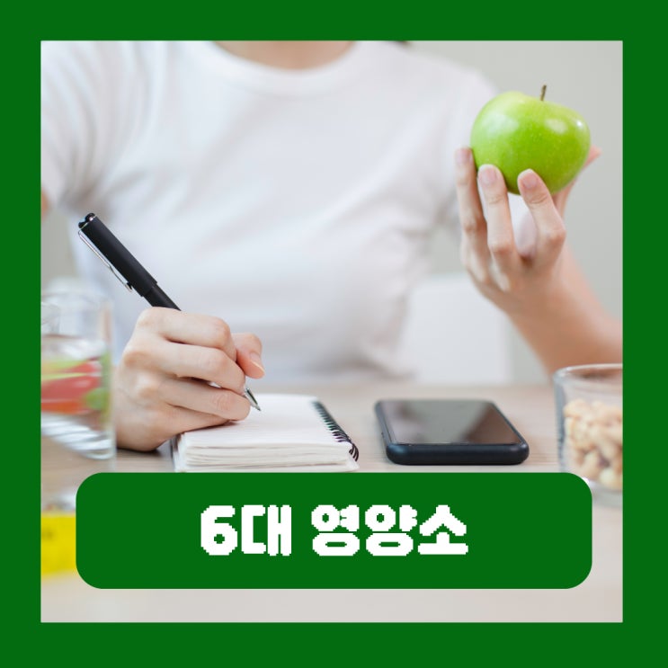  6대 영양소 종류 기능 정리 우리 몸에 필요한 이유