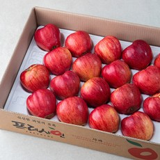 사과의 새로운 기준! 프레샤인 충주 GAP 인증 당도선별 사과 5kg 완벽 리뷰