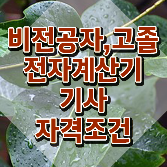  전자계산기기사 교육 전자계산기기사 시험응시자격 집에서 온라인으로 간단하게 준비한 과정