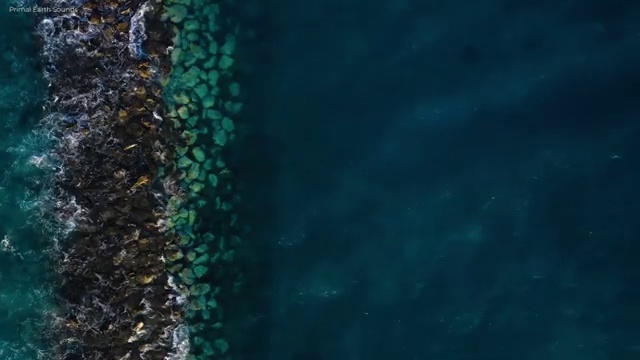  부동산매매 계약서류 , 부동산자산관리전문가 부동산자산관리사 온라인으로 손쉽게 합격 후기