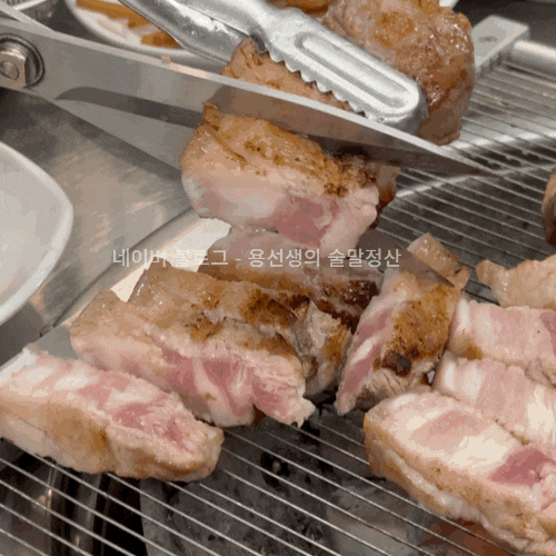  [대전 괴정동 고깃집]블랙돈 숯불구이 맛집(제주흑돼지 오겹살)
