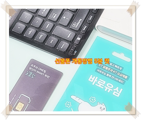  부산 선불폰 유심 개통 방법 요약 (돈버는선불폰 사이트맵)