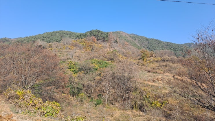 11월의 세무일지[개인사업자 중간예납, 가지급금 처리,상생임대 연장]