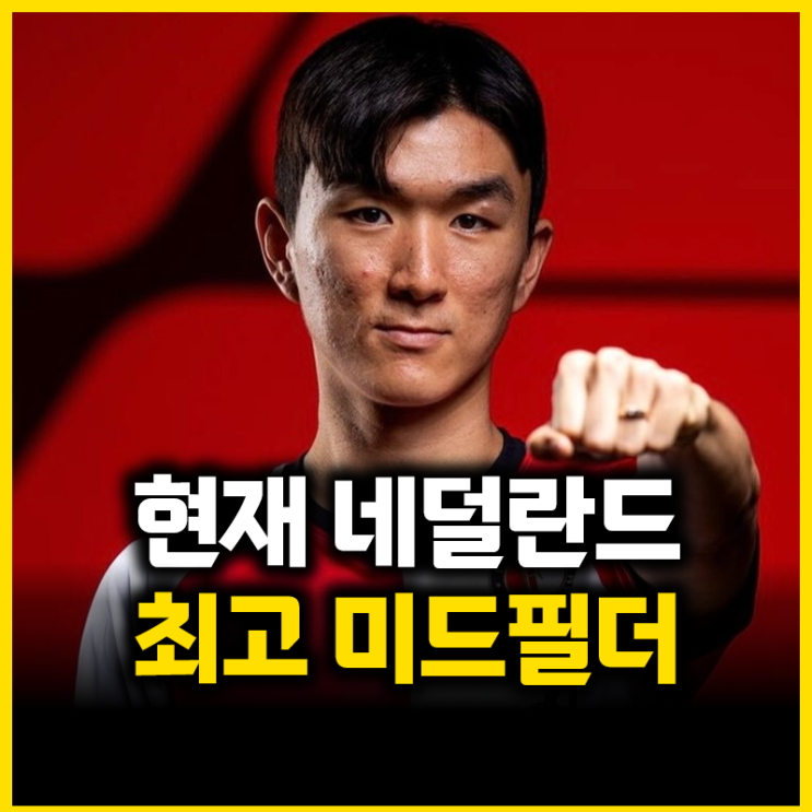 두 달 연속 이달의 팀 선정된 <b>페예노르트</b> <b>황인범</b>, 이 선수들과... 