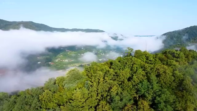  , 피부미용교육지도사 자격증 직장인도 쉽게 시험준비 , 취업정보