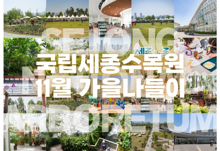  충청도 11월 세종 가볼만한곳 국립세종수목원 가을축제 중