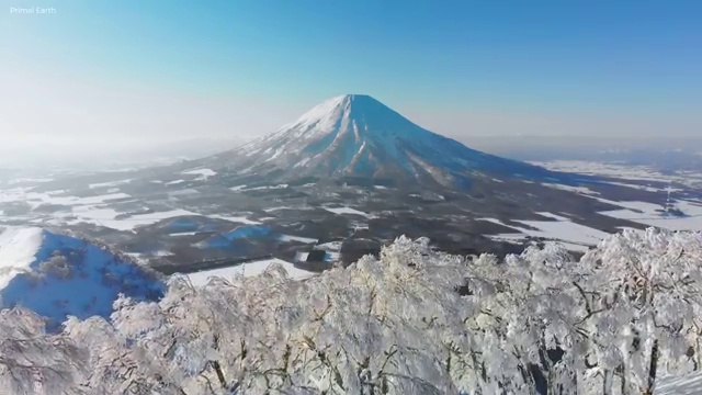  원예 심리상담사 자격증 , 심리상담사 자격증 합격한 후기 확인하기
