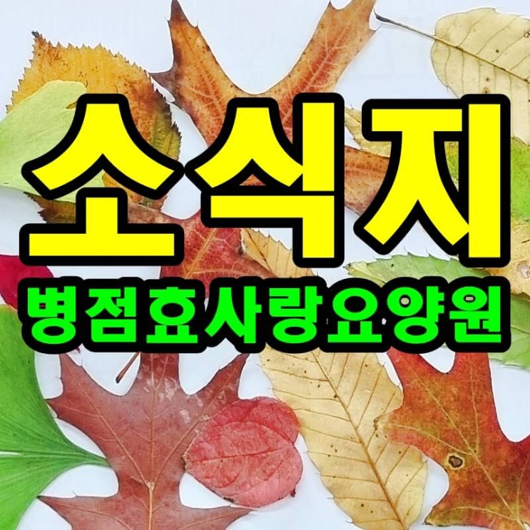  2024년11월 소식지 프로그램계획표 식단표