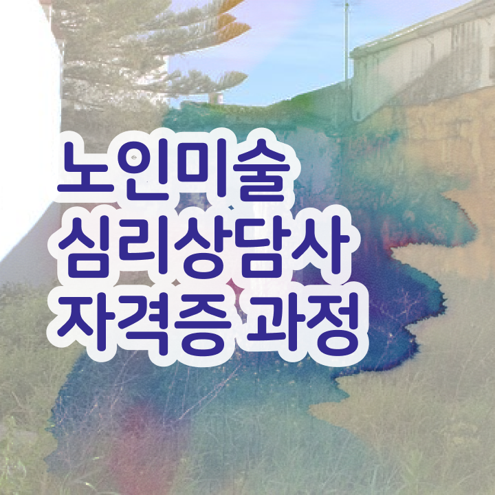  노인미술심리상담사 학점 , 노인미술심리상담사 자격증 1급,2급 동시에 합격한 팁 , 전망