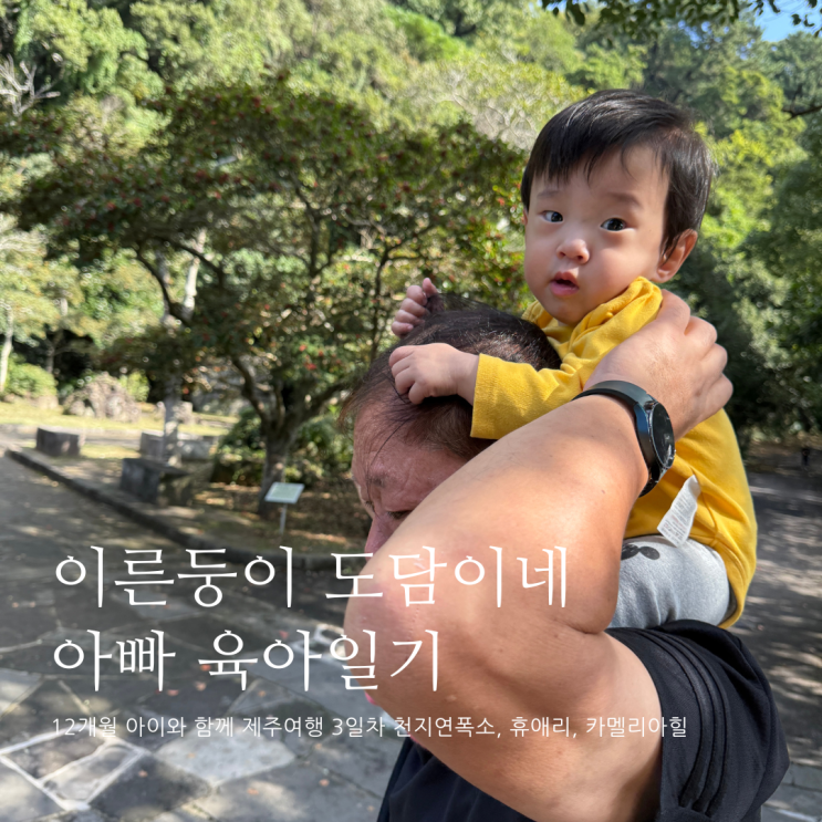 12개월 아이와 함께 제주여행 3일차 천지연폭포 휴애리 카멜리아힐 제주 가볼만한곳 D+370 12개월 아이와 함께 제주여행 3일차 천지연폭포 휴애리 카멜리아힐 제주 가볼만한곳 D+370