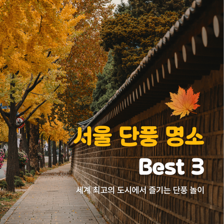  세계적인 도시 서울에서 만끽하는 가을 단풍놀이 명소 BEST 3 소개