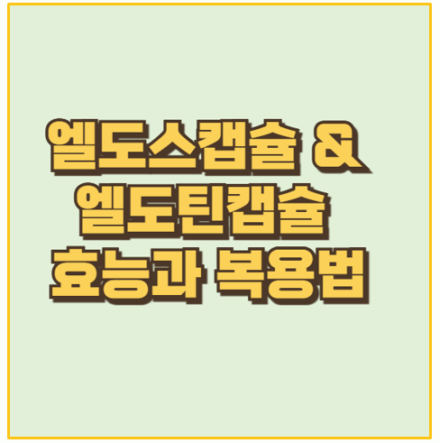  가래 제거 필수템 엘도스캡슐의 효과와 복용법 총정리
