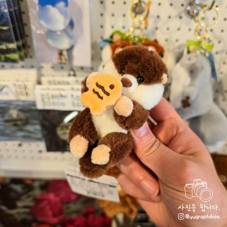  [서울시 마포구 망원동] 망원역 가볼만한곳, 망원시장 소품샵 - 하월의 하루