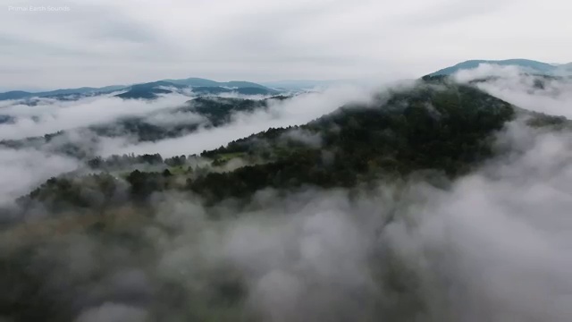  장수군미술심리상담사 , 미술심리상담지도사 자격증 쉽고 빠르게 합격한 비법 , 이후 전망