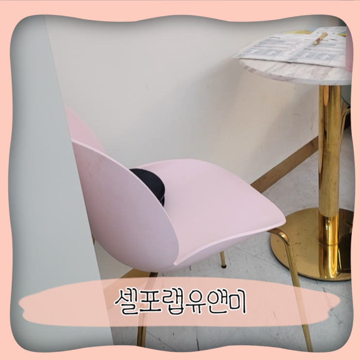  세종 다이어트 ㅣ 셀포랩유앤미 체지방빼기