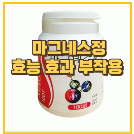  모르면 손해 마그네스정 복용 가이드 효능 성분 복용법 및 주의사항