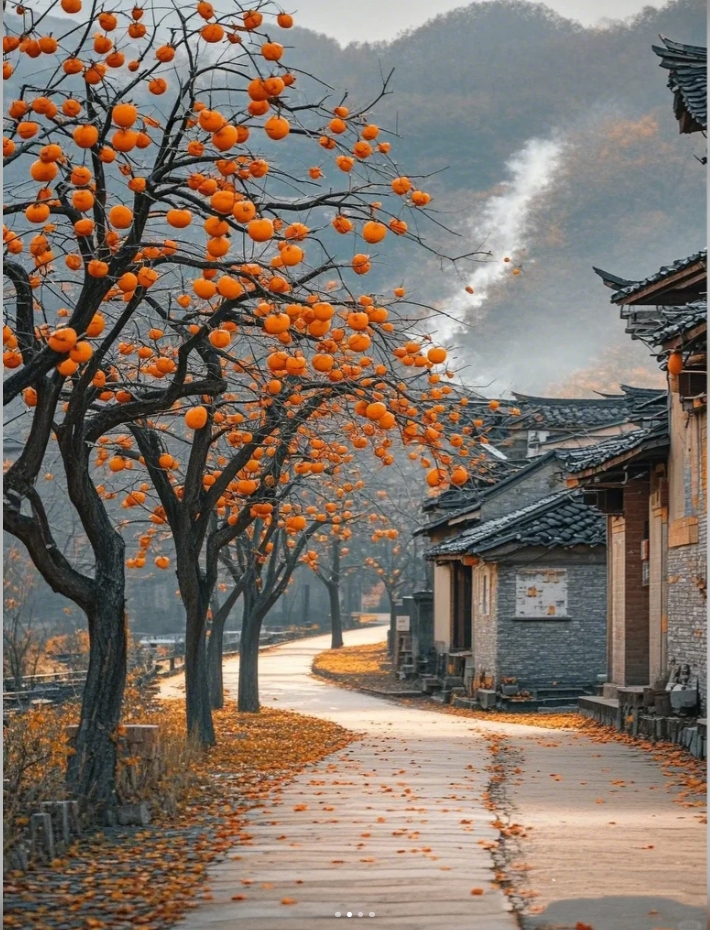 상해통역/예쁜중국어/迎接11月的美好文案
