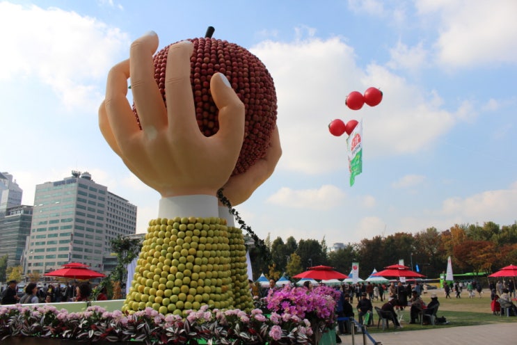  2024 경상북도사과홍보행사 기본정보 서울시청광장 경북사과축제