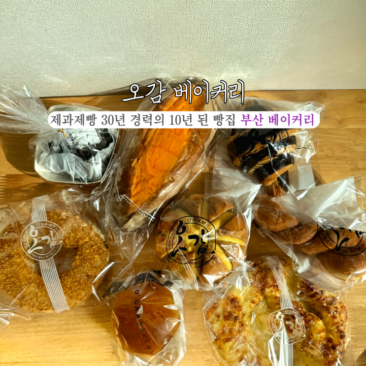  [부산 연제] 오감 베이커리: 제과제빵 경력 30년 이상의 사장님이 운영하는 10년 된 동네 빵집! 부산 베이커리 추천