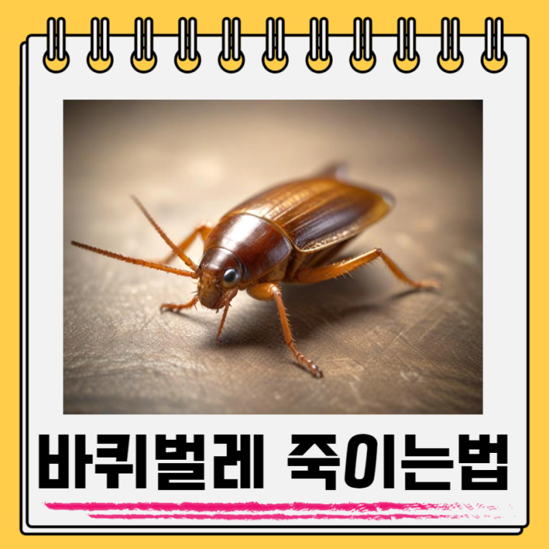 바퀴벌레 죽이는법 죽이고 변기