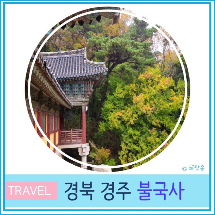  경주 불국사 여행 가을 단풍 명소 대구 근교 단풍놀이 11월 실시간