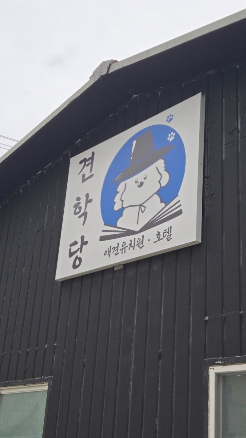 사진 10