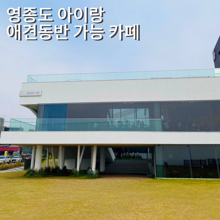  영종도 애견동반 오션뷰 마시안해변 카페 미음 야외테라스 아이랑 예스노키즈존 카페