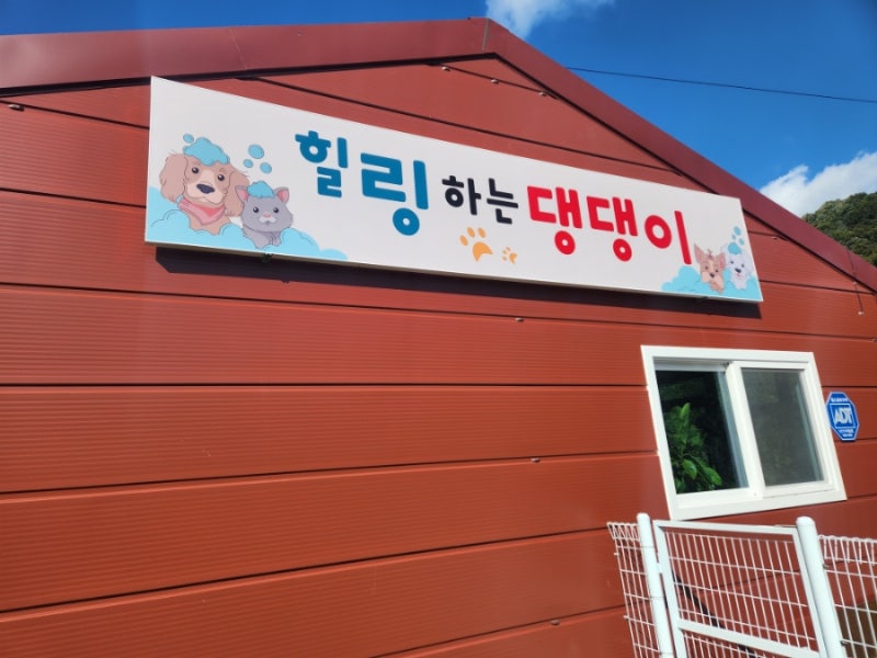 사진 5