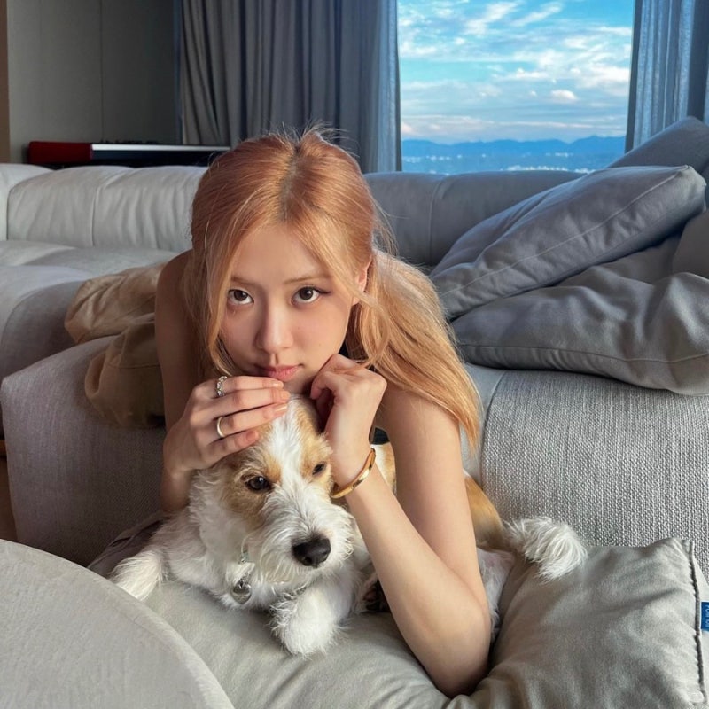 블렉핑크 로제 / 본명 나이 강아지 MBTI 인스타