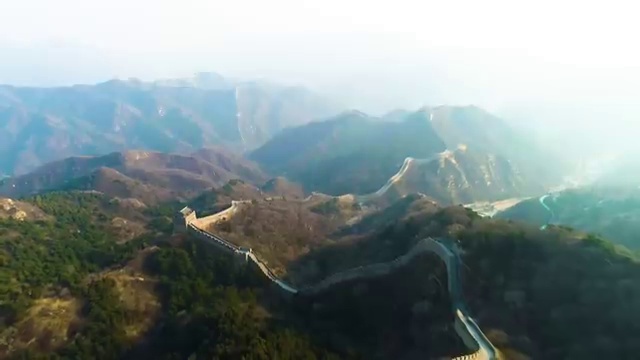  반려동물종합관리사 , 반려동물관리사 자격증 독학으로 합격한 전략 및 이후 전망