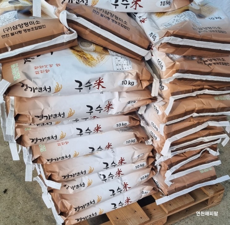  벼 수매시기 정부수매 농협 연천쌀 연진 경기15호