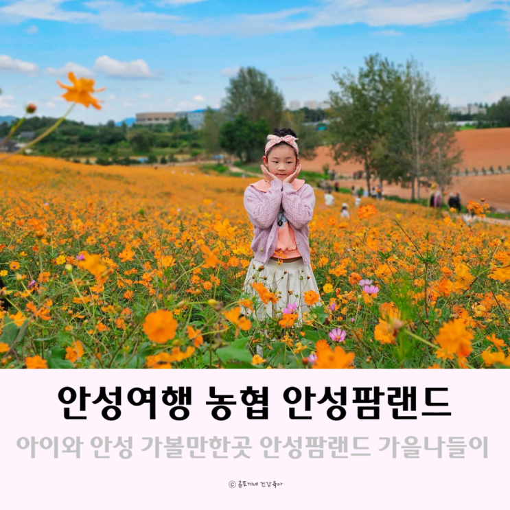 안성여행 아이와 가볼만한 곳 농협 안성팜랜드 목장 가을나들이 안성여행 아이와 가볼만한 곳 농협 안성팜랜드 목장 가을나들이