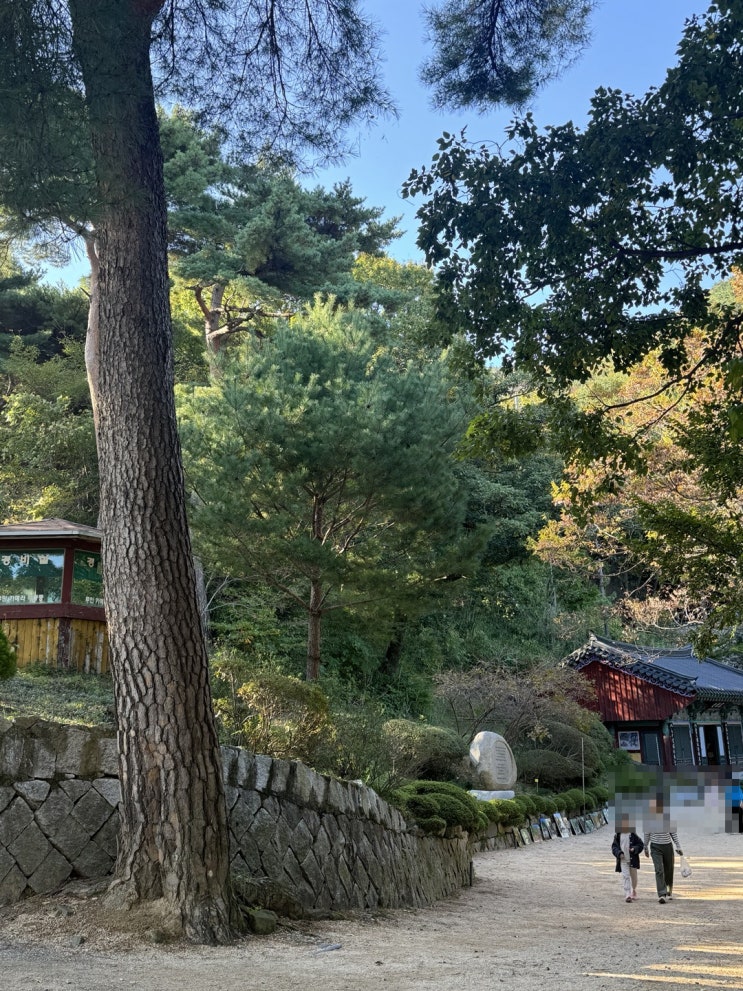[<b>검사</b>출신변호사] 경찰관 공무<b>비밀누설 사건</b> 선고유예 사례