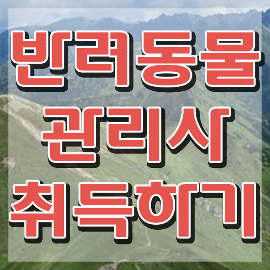  반려동물관리사 하는일 , 반려동물관리사 자격증 준비한 과정 정리했어요