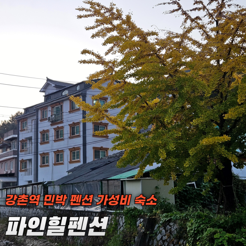 파인힐펜션