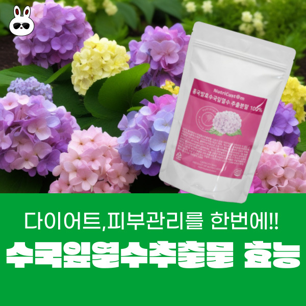  수국잎열수추출물 효능 AMPK효소 다이어트,피부관리를 한번에!!