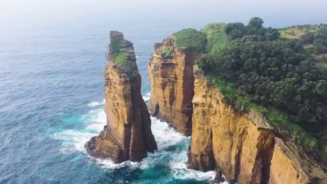  색채심리분석 , 심리분석상담사 자격증 합격정보 궁금하셨다면