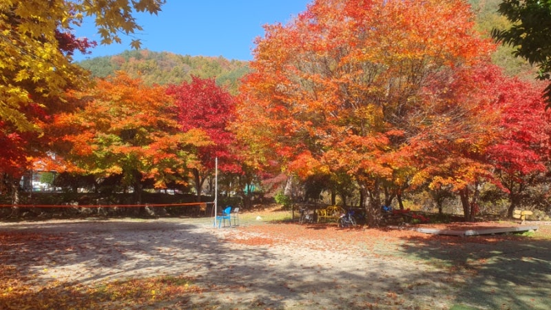사진 2