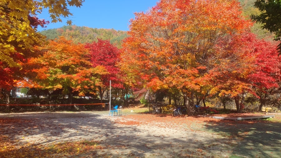 호랑바우펜션 사진 2