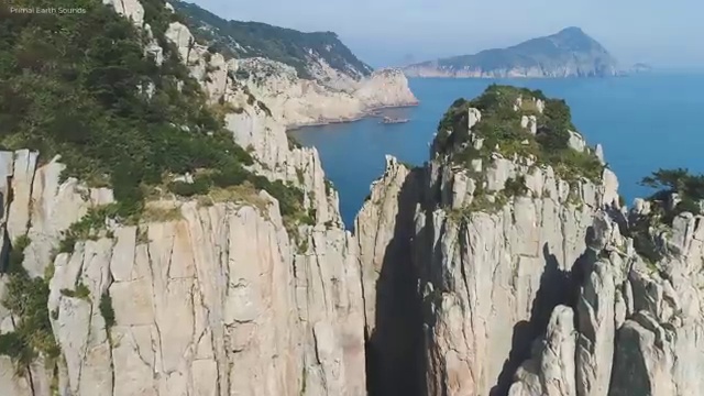  원예 심리상담사 자격증 , 심리상담사 자격증 20일 만에 취득한 방법 궁금하셨다면