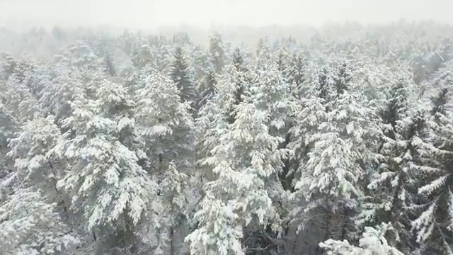  노인 디지털 교육 , 디지털튜터 자격증 취득했던 후기 알아보기