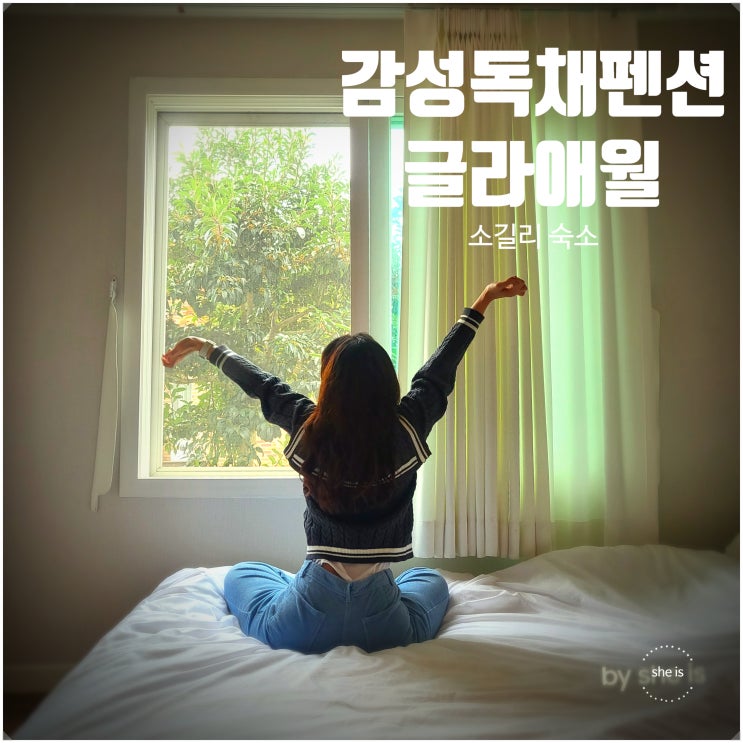  제주도 애월 숙소 감성 독채펜션 애견동반가능 글라애월