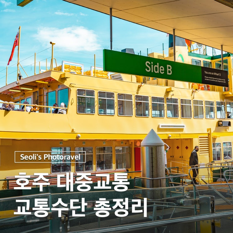  호주 교통수단 대중교통 총정리 버스 기차 트램 페리