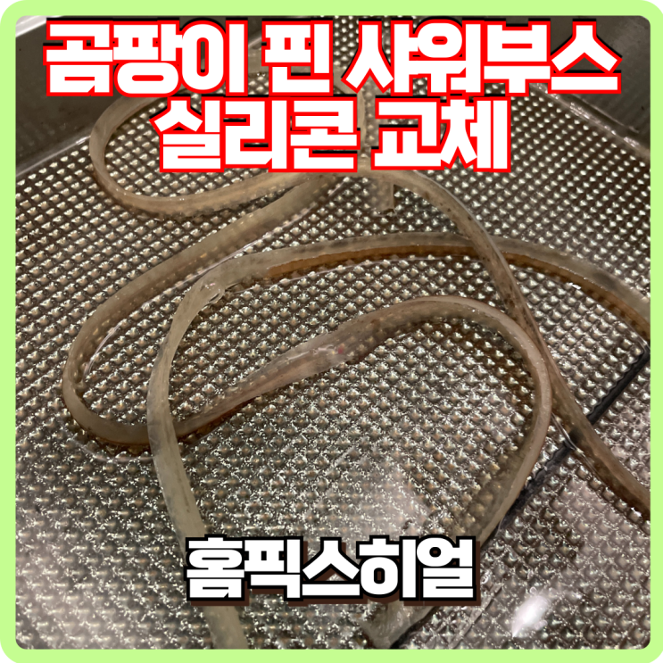  샤워부스 곰팡이 실리콘 교체