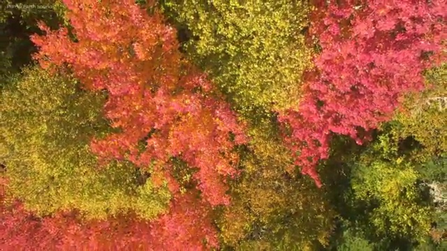  부동산가격하락 , 부동산자산관리전문가 부동산자산관리사 합격 비법 , 빠르게 따는 법