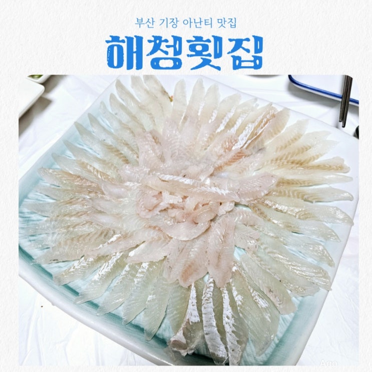  부산 기장맛집 해청횟집 feat 아난티코브 맛집