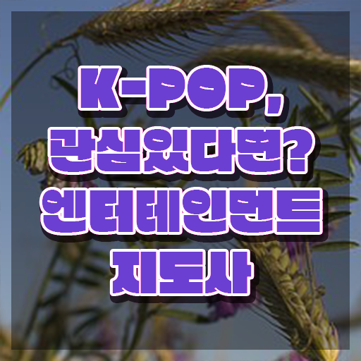  엔터테인먼트지도사 무료 수업 , 엔터테인먼트지도사 자격증 온라인으로 취득한 정보 및 향후 전망