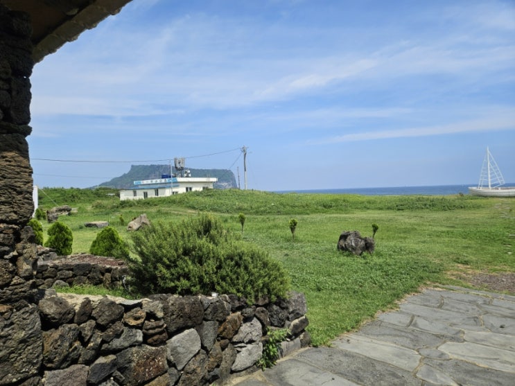  제주도 성산 카페 호랑호랑 성산일출봉 근처 실내 가볼만한곳 추천