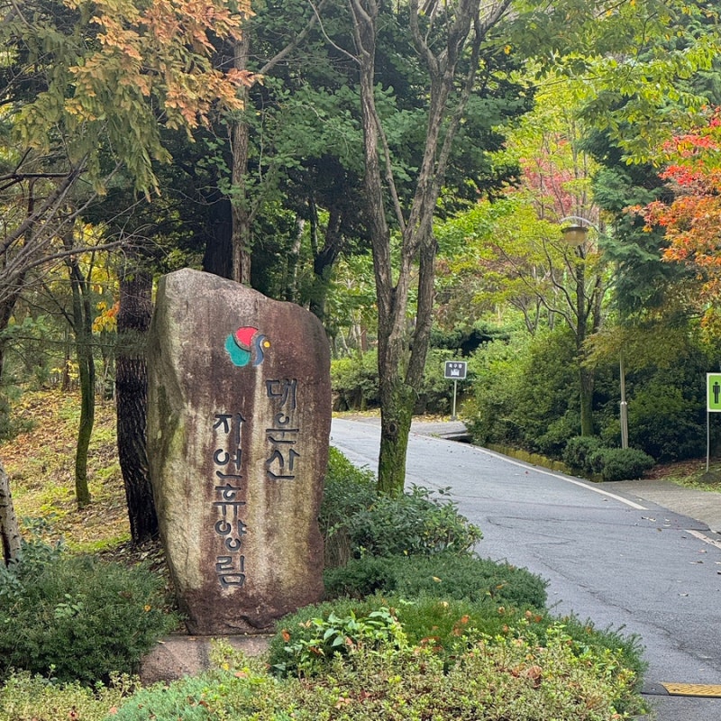 [캠핑장] 자연 속 캠핑 / 양산 대운산 자연휴양림 야영장 (14번 사이트)